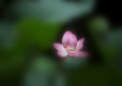 桃源郷