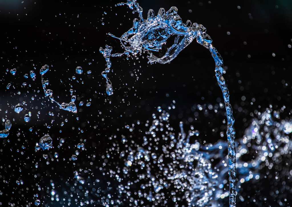 水獣