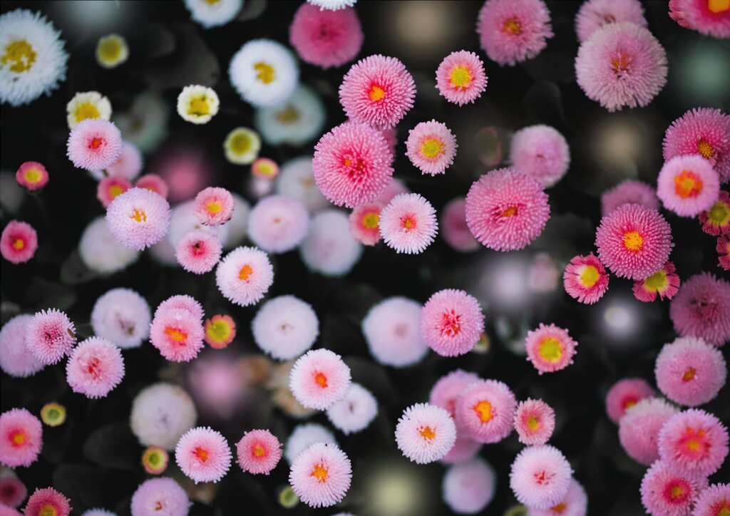 華火