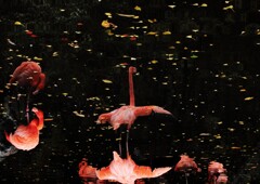 もう一つの世界