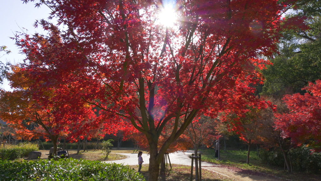 大阪城公園