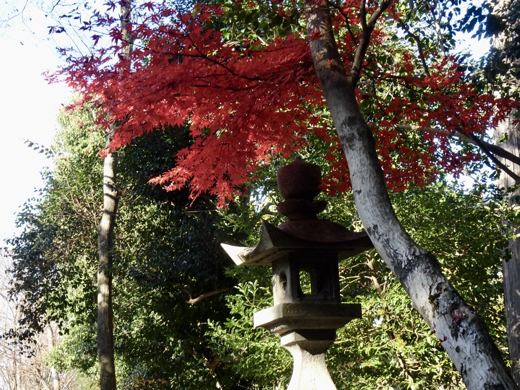 20231204風景12