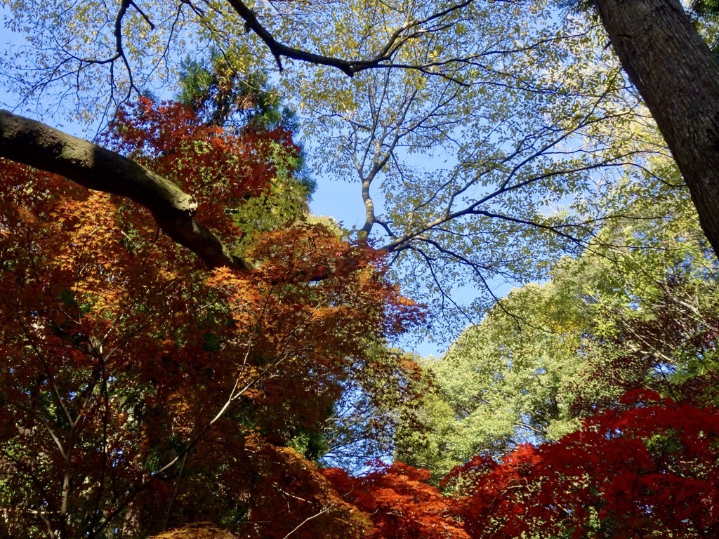 20231204風景7