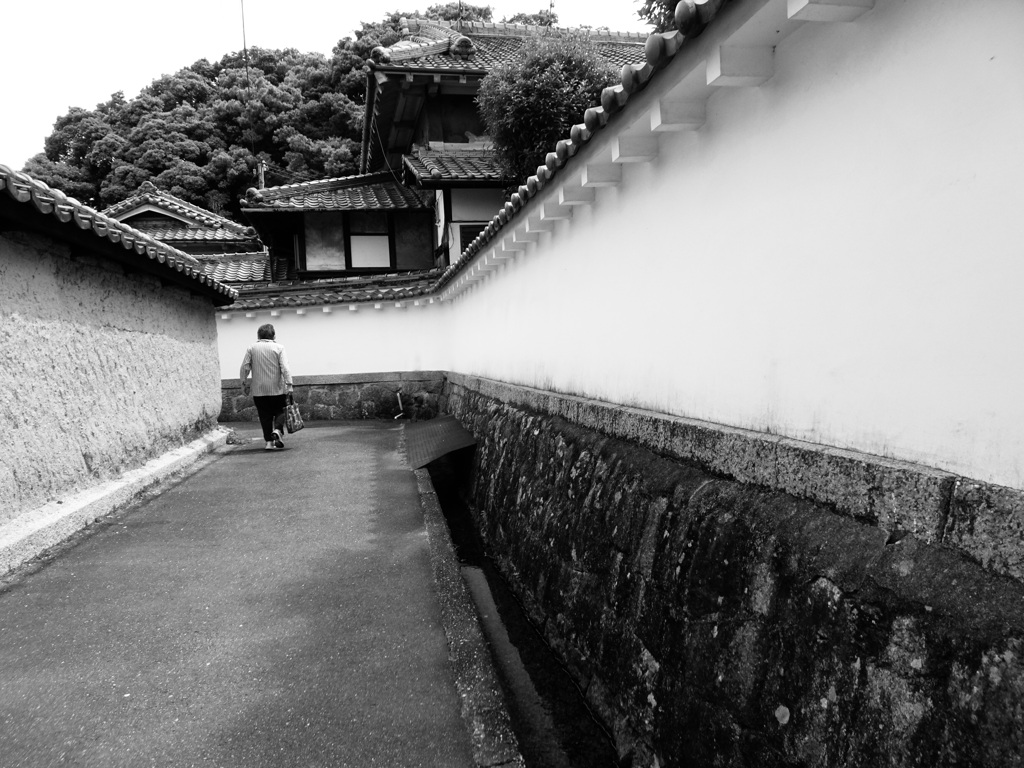 20240523風景2