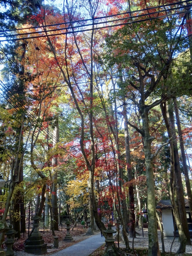 20231204風景4