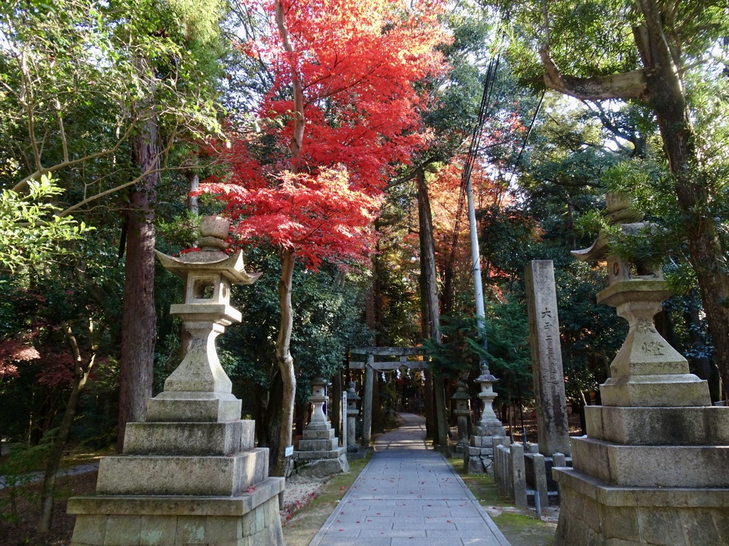 20231204風景18