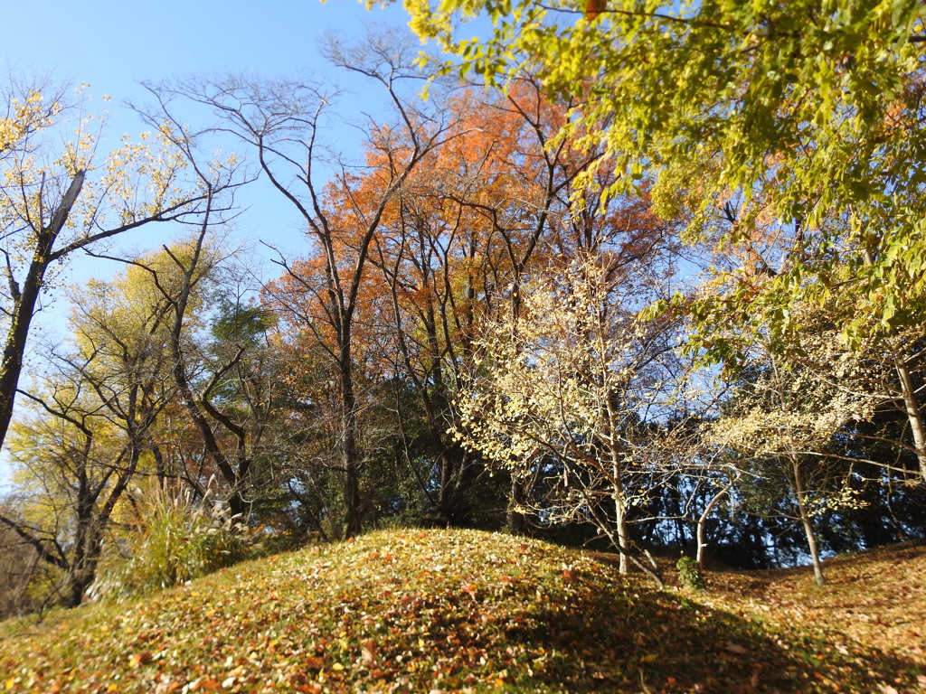 20231208風景