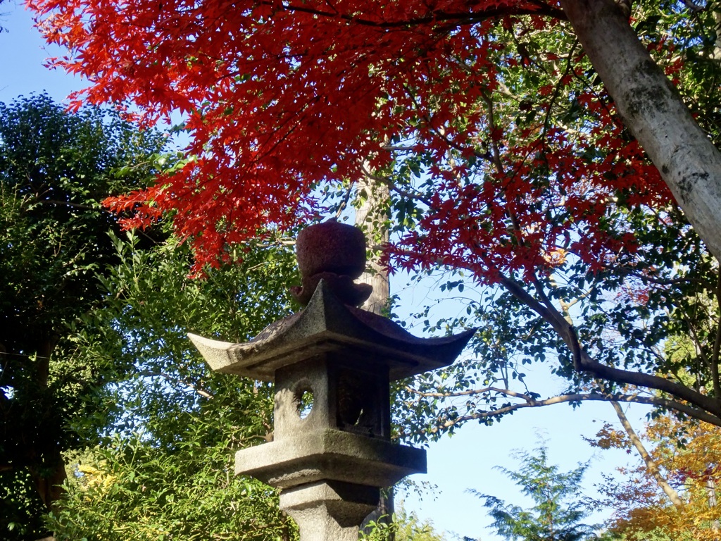 20231204風景14