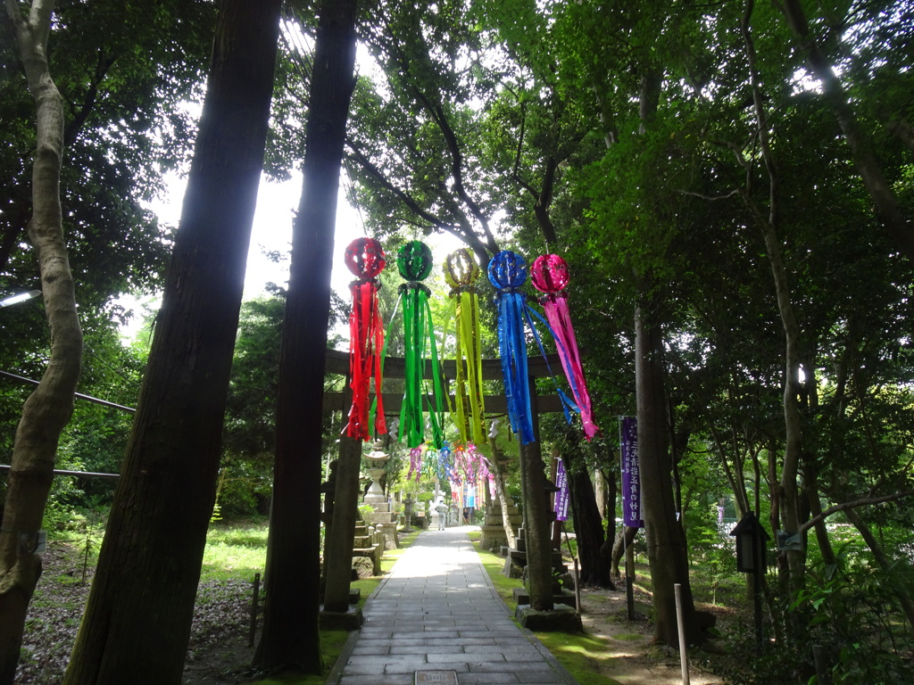 20240703風景3