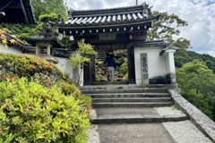 20240604桜井市04