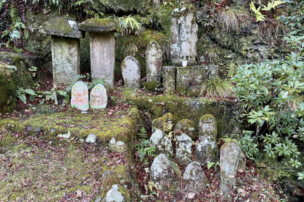 20240104右京区32