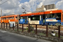 20241203松山市64