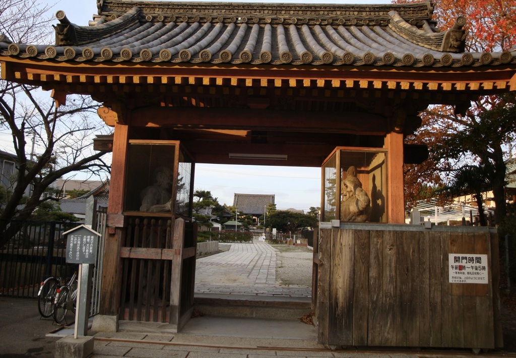 20091214堺市西区01