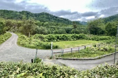 20230613占冠村02
