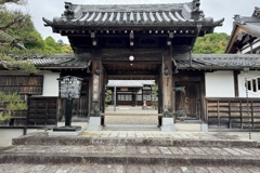 20240506彦根市24