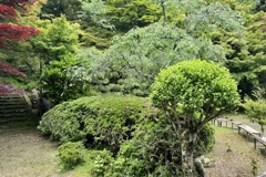 20250518西京区08
