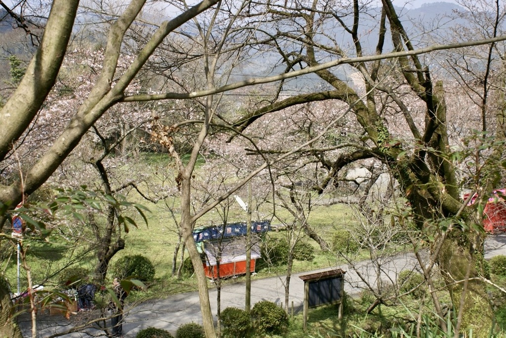 20070328朝倉市16