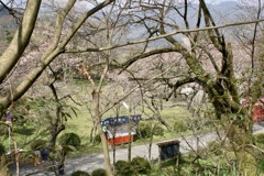 20070328朝倉市16
