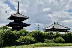 20240604斑鳩町06