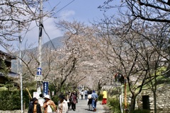 20070328朝倉市35