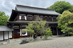 20240506彦根市27