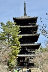 20240330右京区01