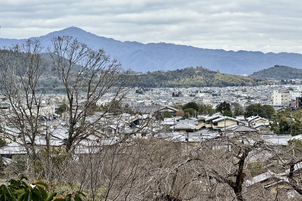 20240208右京区08