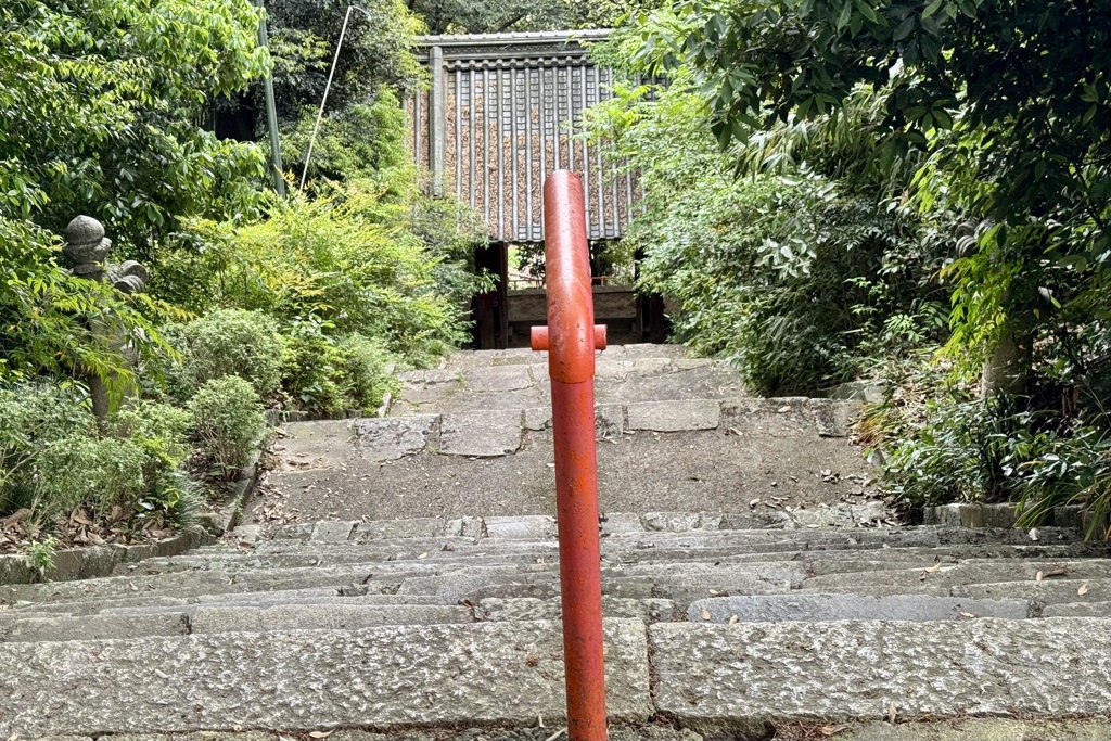 20240506彦根市07