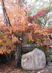20181130東山区20