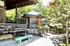20220430近江八幡市03