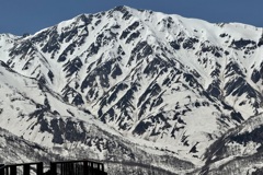 20250508白馬村16