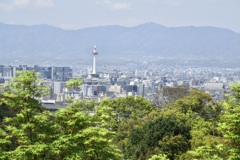 20190418東山区02