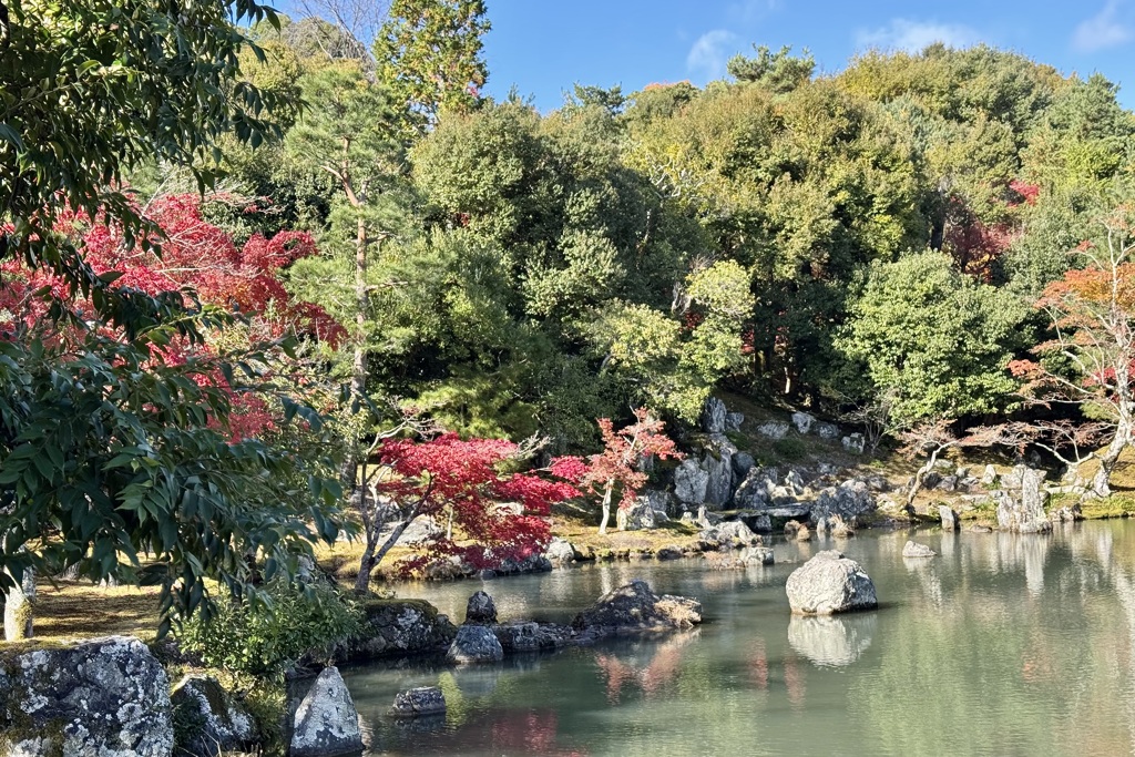 20241129右京区15