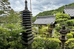 20240604桜井市03