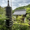 20240604桜井市03