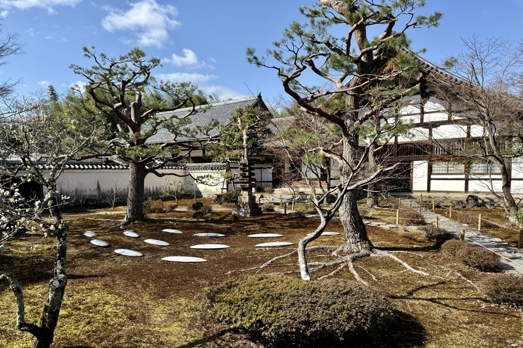 20240228右京区06