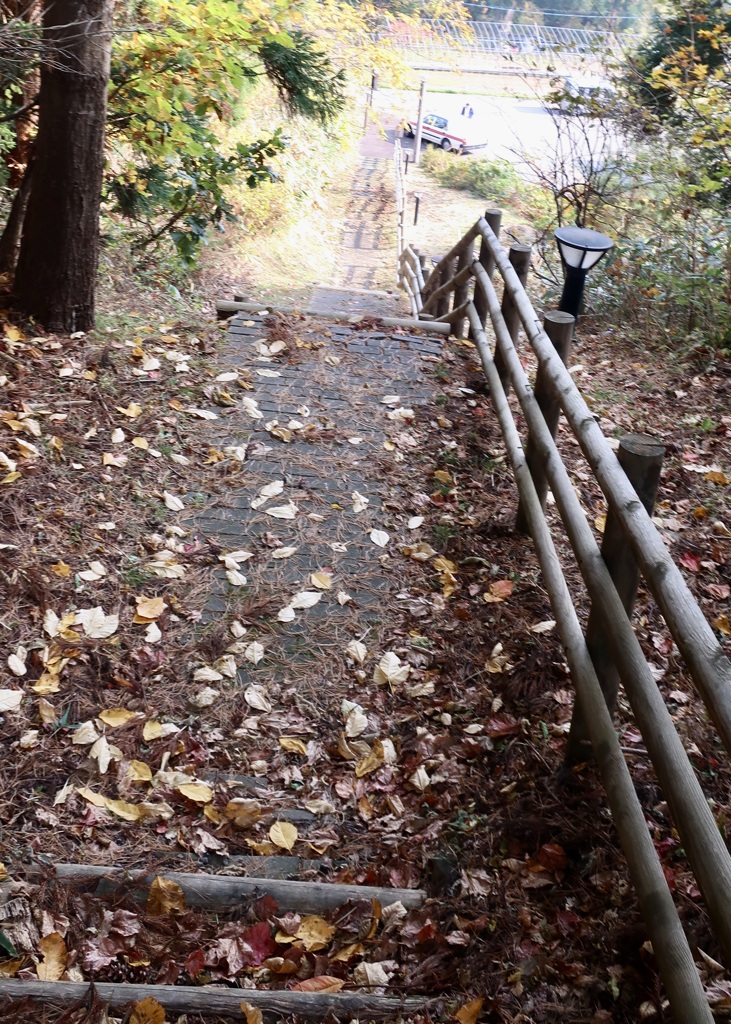 20171102中泊町07