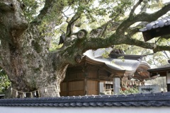 20070328朝倉市10