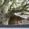 20070328朝倉市10