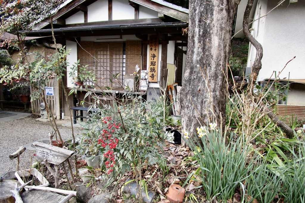 20190124木津川市14
