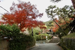 20181130東山区10