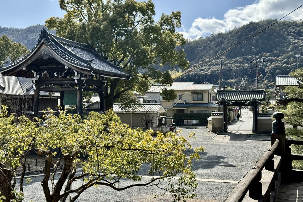20240310右京区26