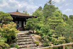 20190619右京区03