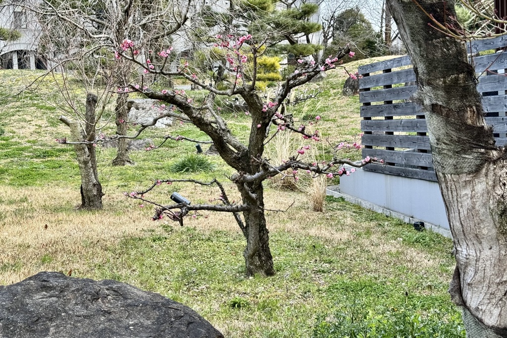 20240309東山区05