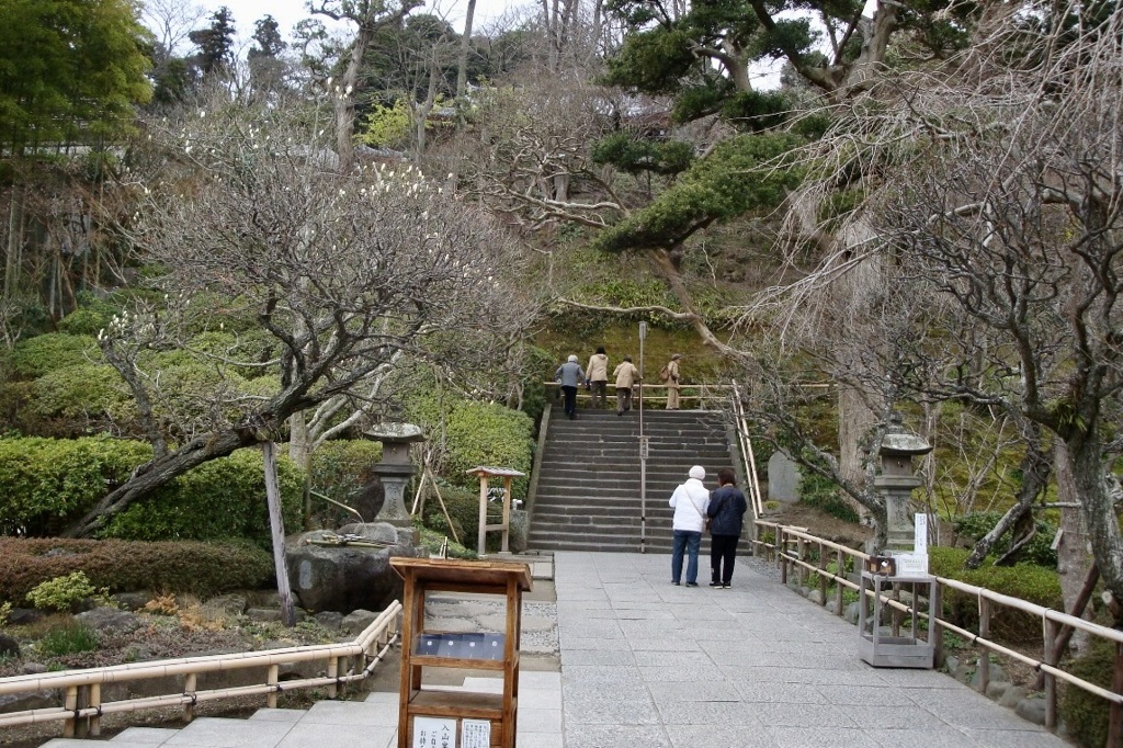 20090313鎌倉市30