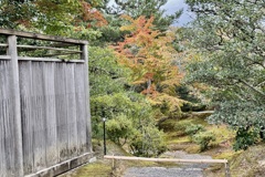 20241023左京区16