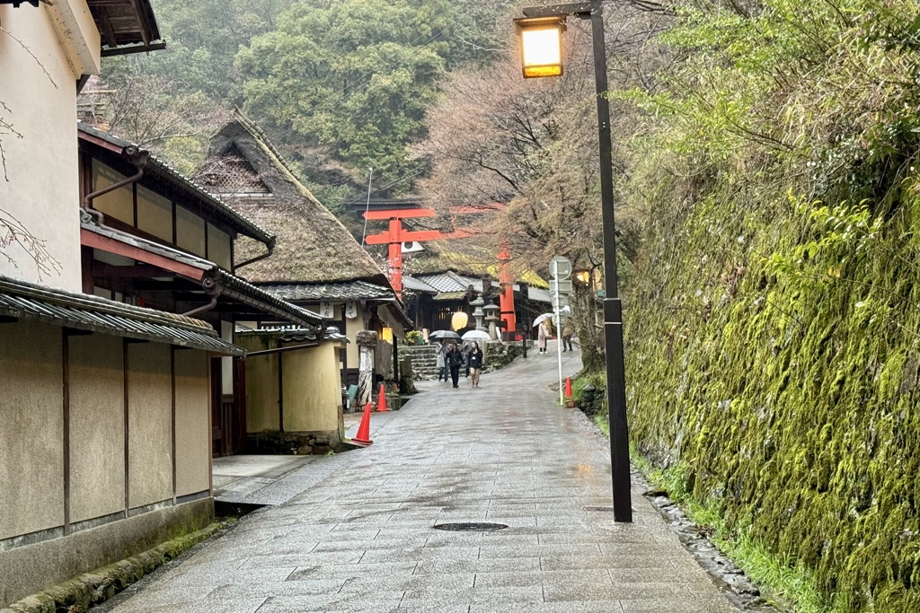 20240403右京区07