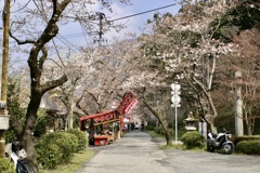 20070328朝倉市31