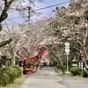 20070328朝倉市31