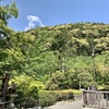 20190505東山区03